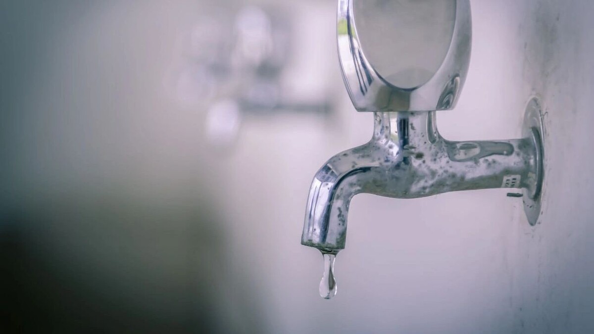    Фото: Latte Art/Shutterstock/Fotodom