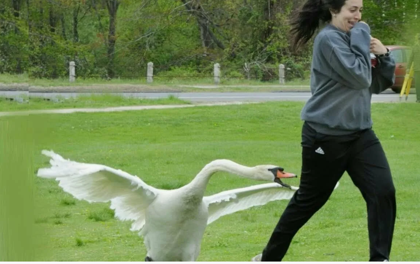 Кто сильнее всех на свете?