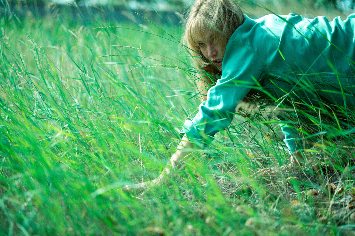 Фото из свободных источников 