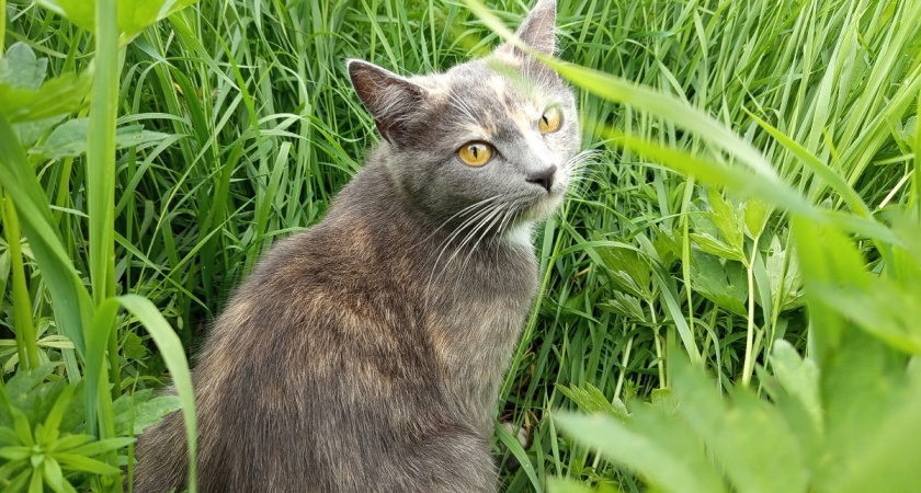    фото из архива редакции