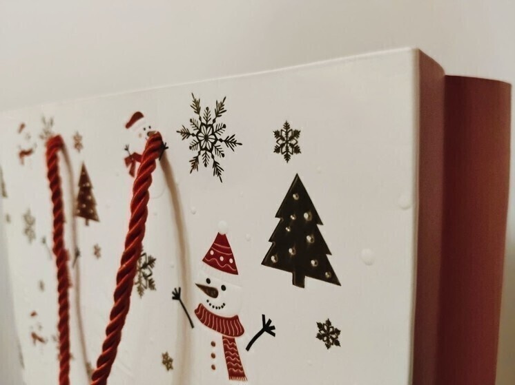     Вячеслав Гладков показал новогодние подарки для белгородцев, фото: МК в Белгороде (архив)