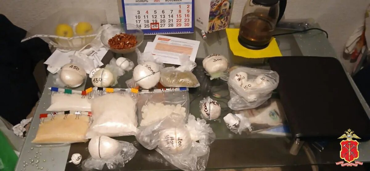    Фото: пресс-служба ГУ МВД России по Петербургу и Ленобласти.