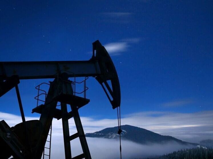 Фото: ru.freepik