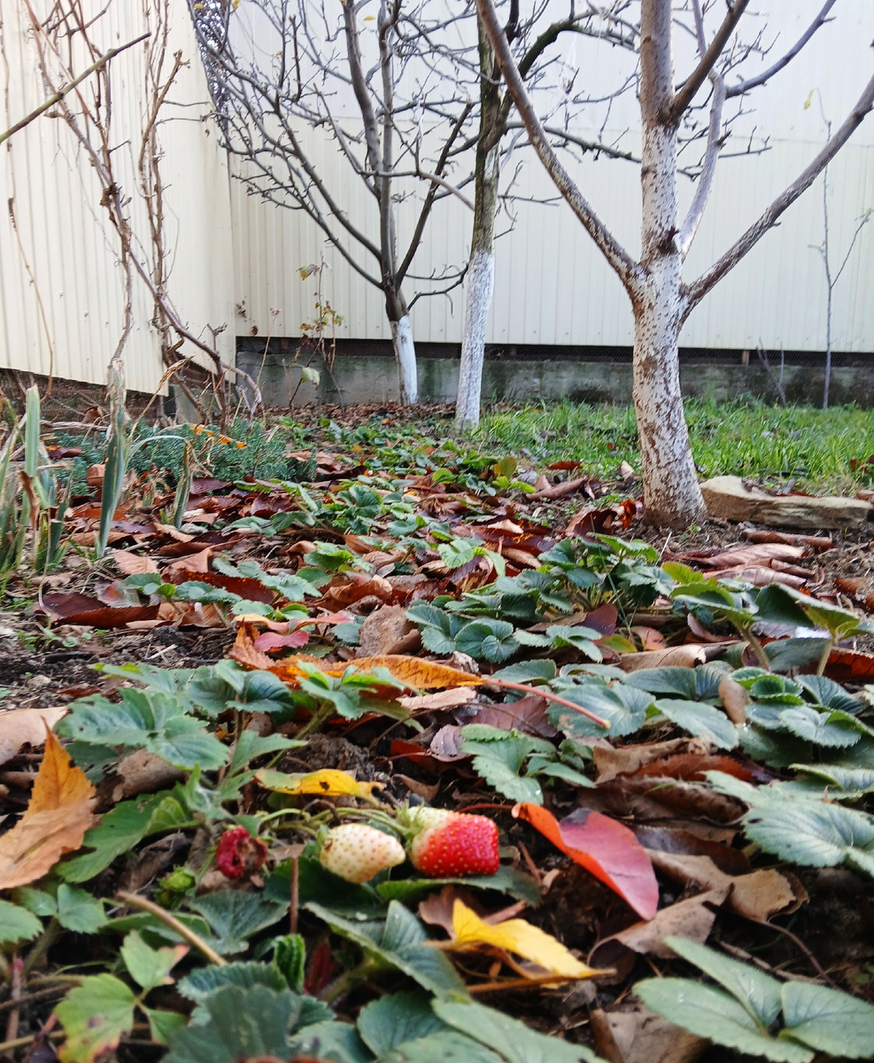 Осень в Анапе