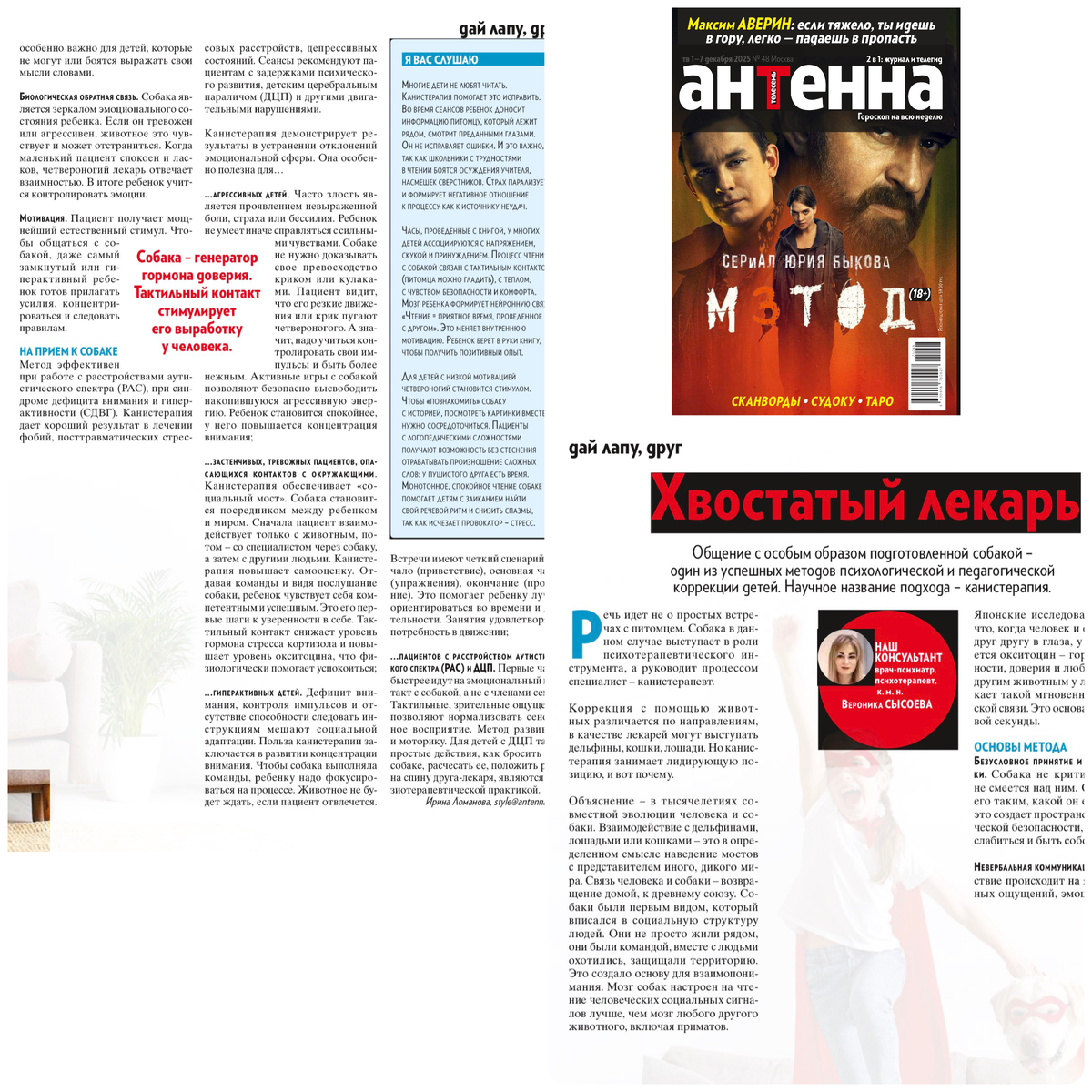 Психологическая коррекция детей, канистерапия