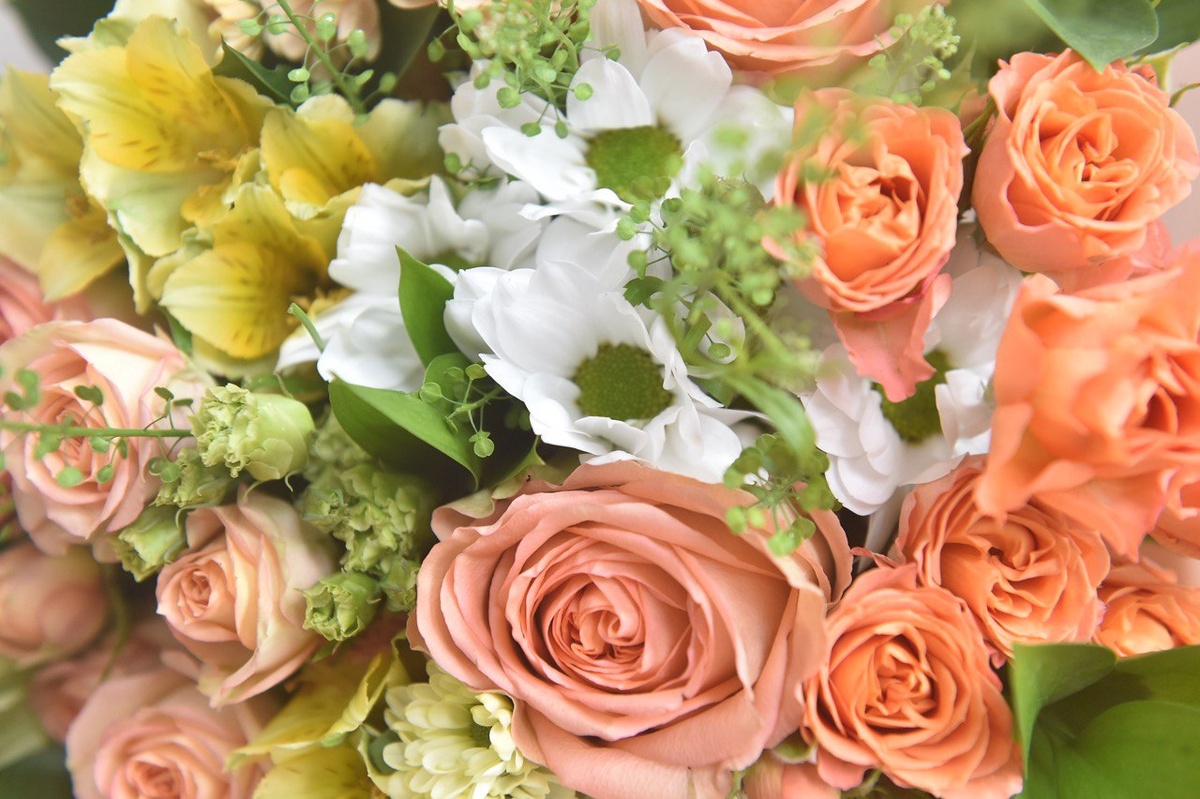    © Константин Долгановский