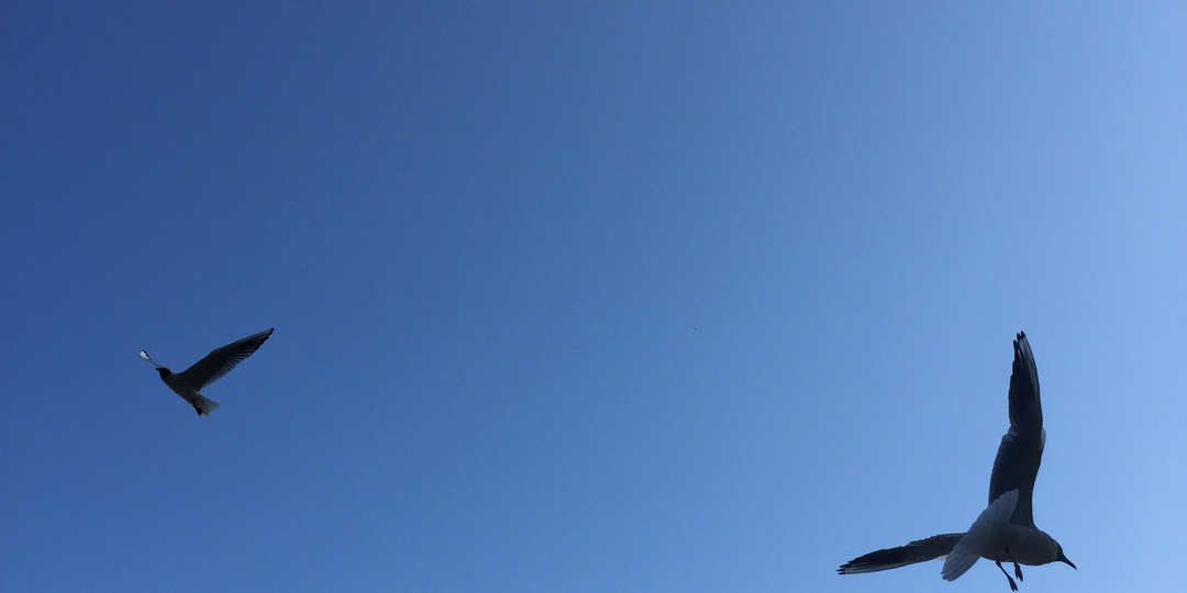 Милада- 3. Монастырь? Нет! Она ещё будет счастлива!