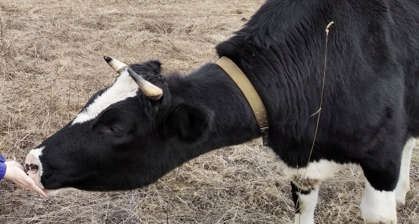    Фото: Волгоград ру