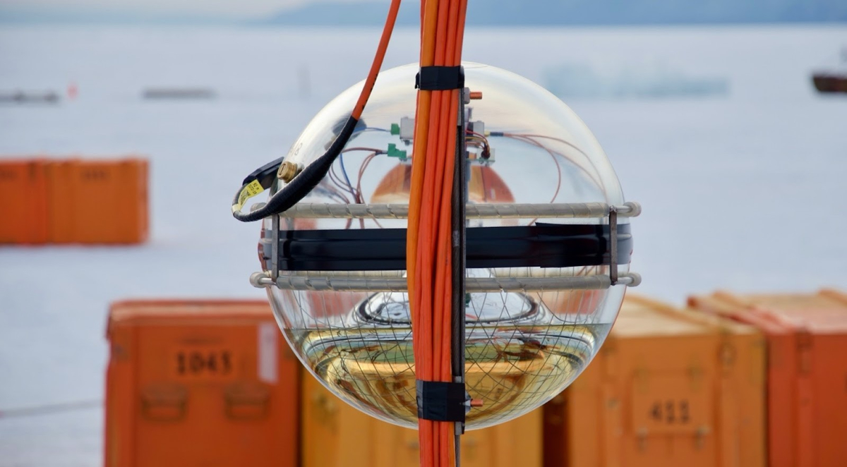 (источник: nplus1.ru)