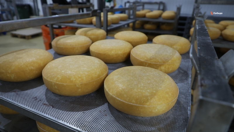      Фото: Дмитрий Ахмадуллин / / ИА «Победа26»