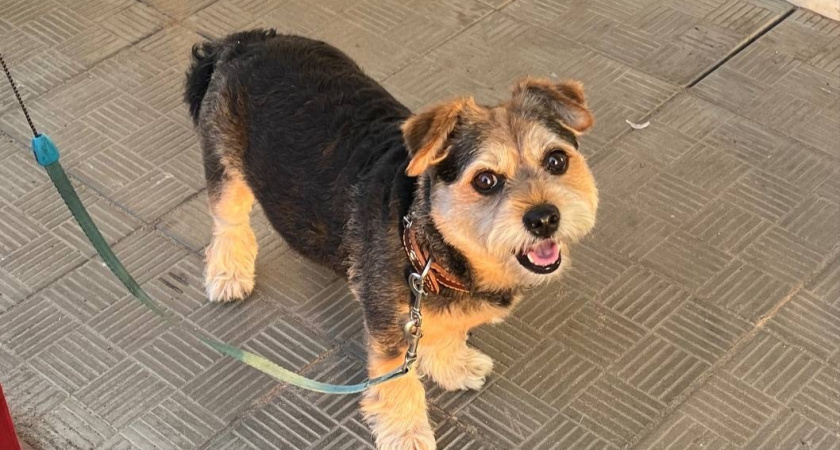    Фотоархив редакции