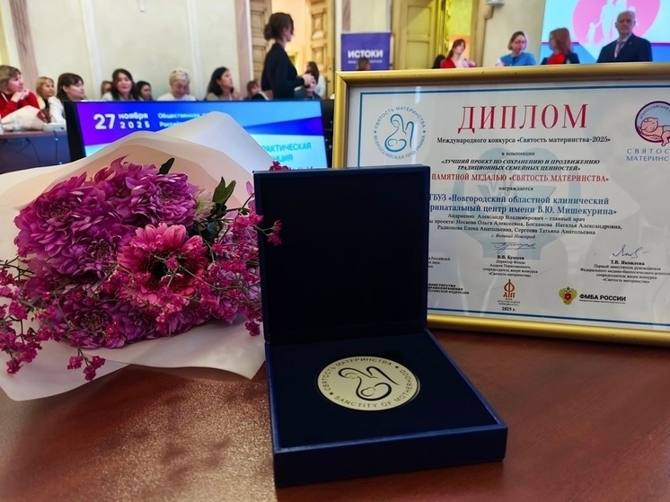     Итоги конкурса подвели в Общественной палате РФ 27 ноября. Фото: соцсети заместителя губернатора Новгородской области Анны Тимофеевой