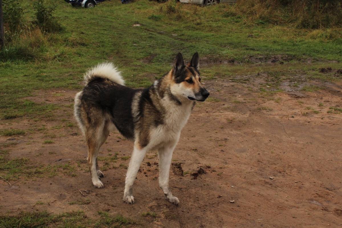    фото: © Столица на Онего / Иллюстративное фото