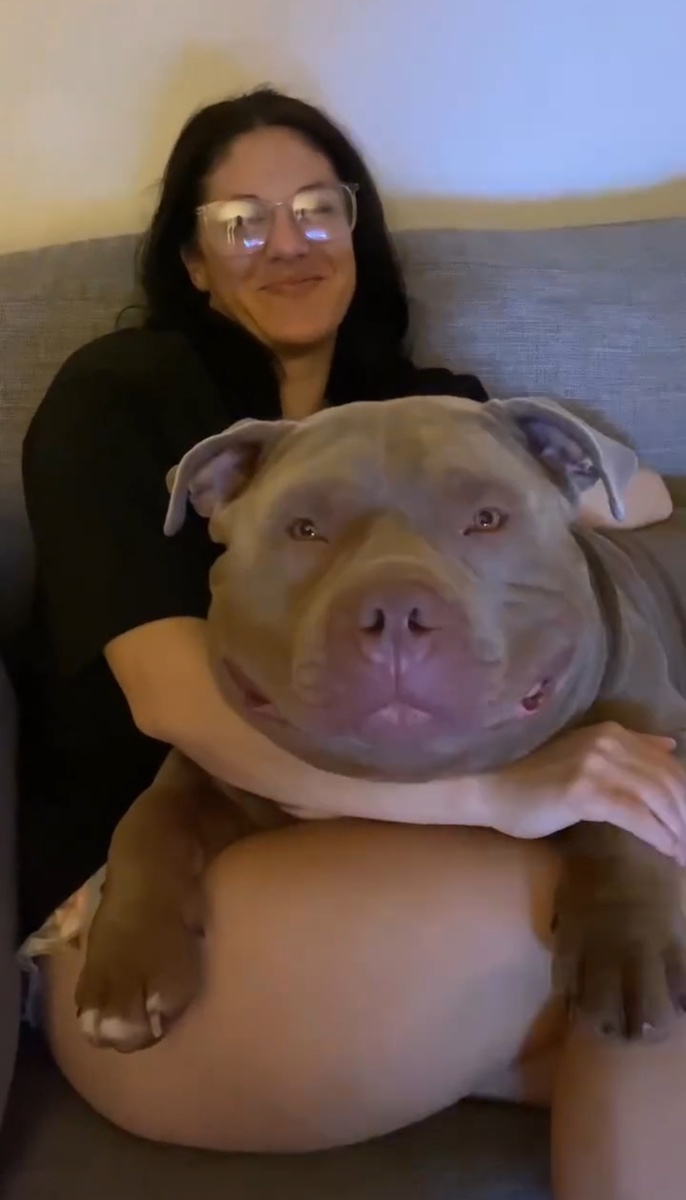 К сожалению видео не удалось загрузить.