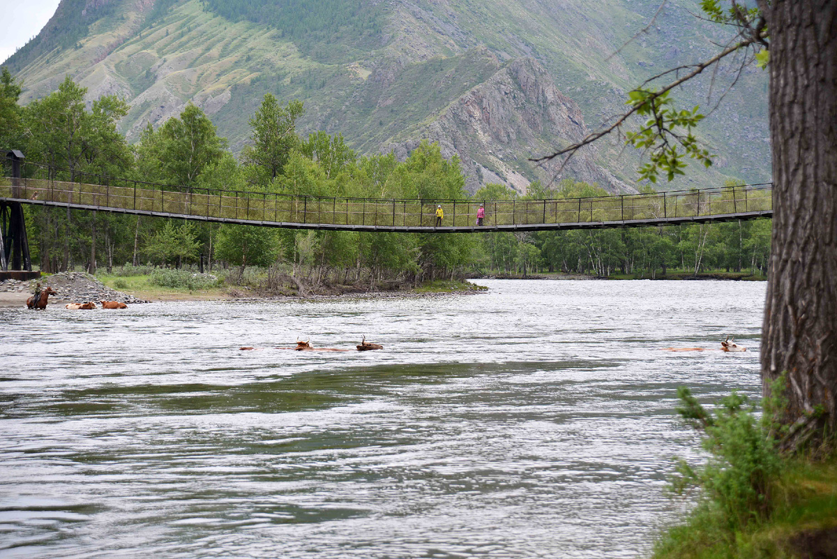 Фото Ольга Шадрина