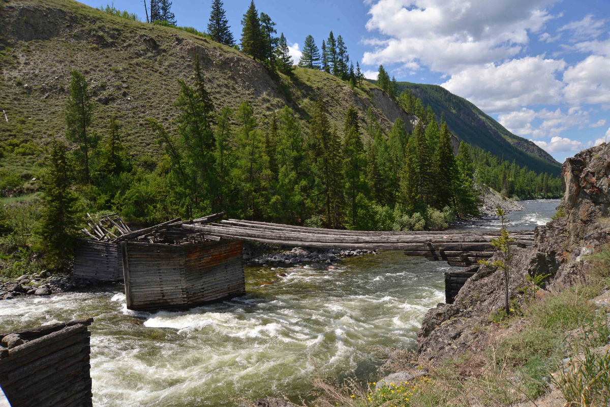 Фото Ольга Шадрина