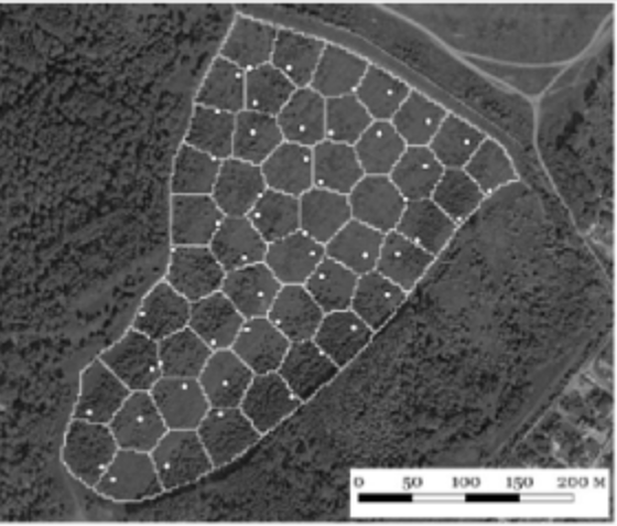 Рисунок 1 – Отбор точечных почвенных образцов по стратифицированно-рандомизованной схеме. Фигурами неправильной формы представлены страты, точками указаны местоположения отбора проб [8]