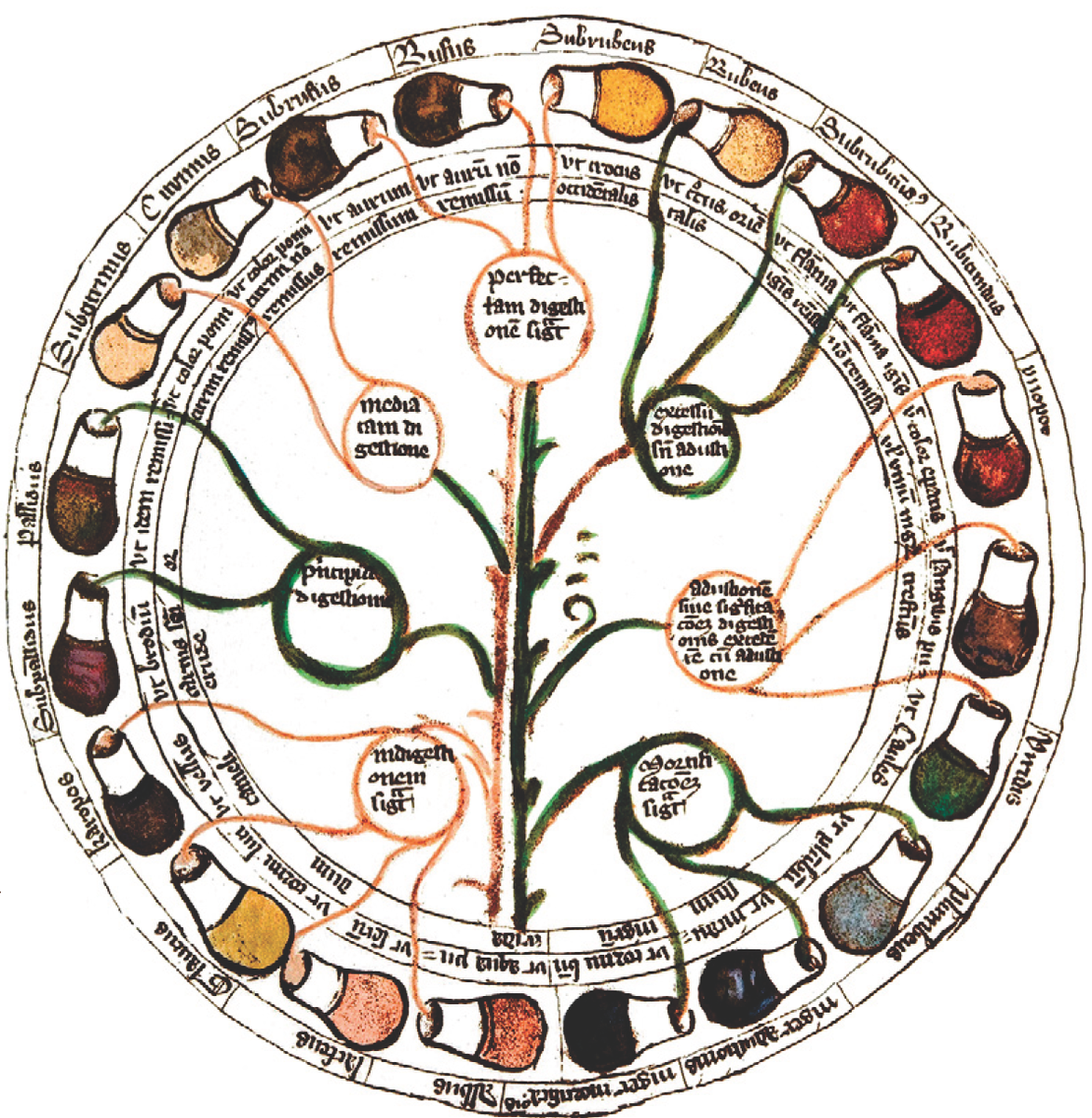 Колесо мочи
С древнегреческих времен диагностика в медицине в значительной степени опиралась на анализ мочи и пульса. Врачи, помимо обоняния и иногда вкуса, внимательно изучали внешний вид, консистенцию, текучесть и, главное, цвет мочи. Именно цвет считался наиболее важным и тонким показателем. Для точного определения оттенка жидкости использовались специальные цветовые диаграммы, одни из древнейших известных, часто выполненные в виде колеса. С течением времени, по мере приближения к нашим дням, эти диаграммы включали все большее количество оттенков.
Стол для мочи, конец XIV века. Лейпциг, Bibliothèque de l'Université, ms. 1177, лист 28.