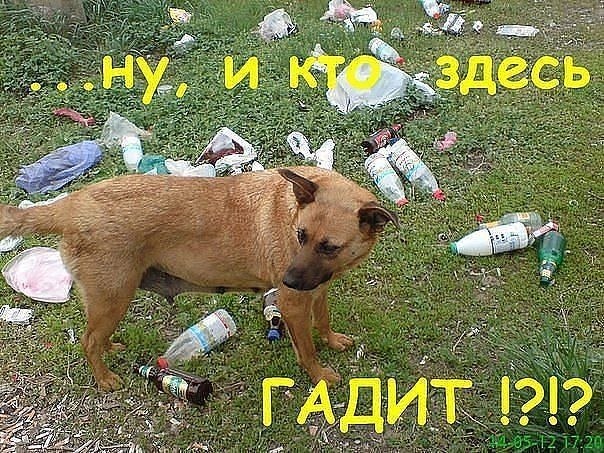 закономерный вопрос