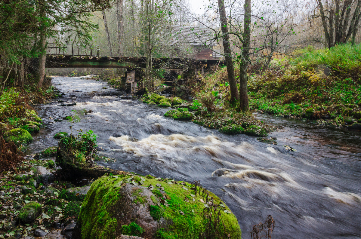 Довольно бурное течение. 