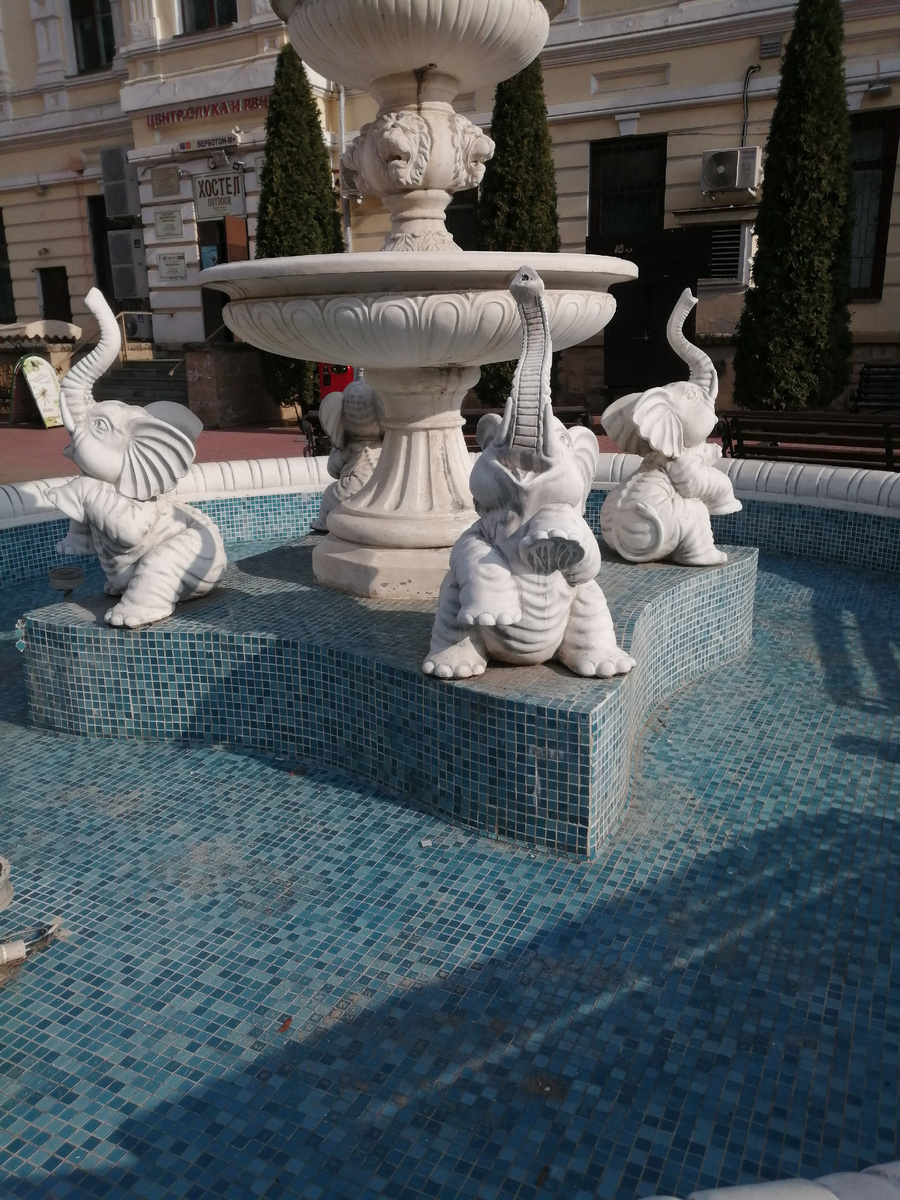 фото автора