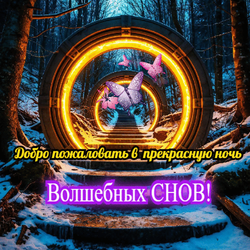 Добро пожаловать в прекрасную ночь.