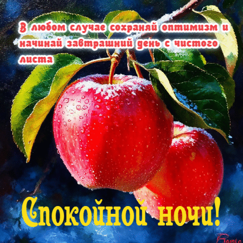 Завтрашний день с чистого листа.