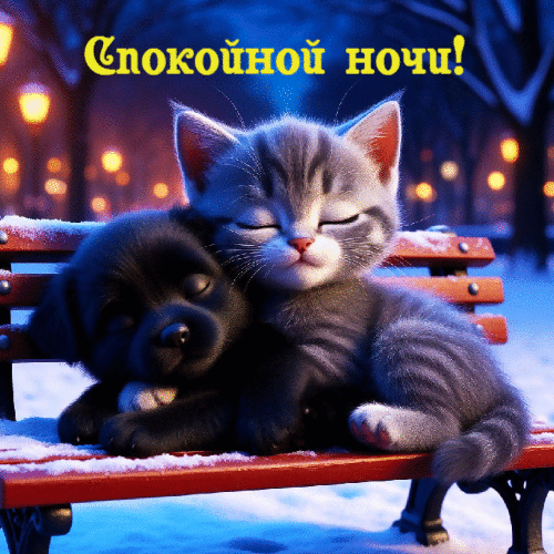 Просто спокойной ночи.