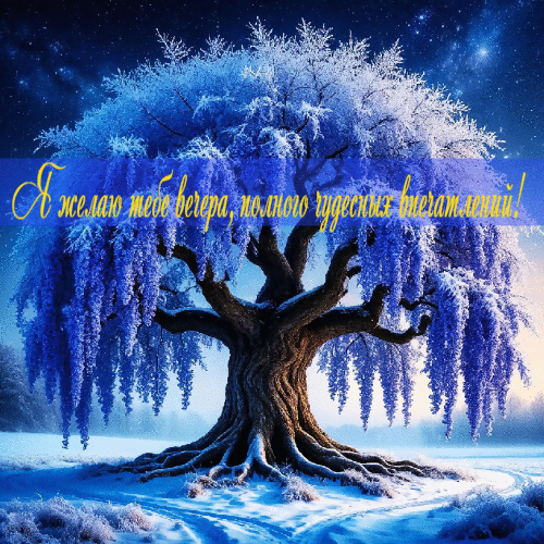 Вечера, полного чудесных впечатлений.