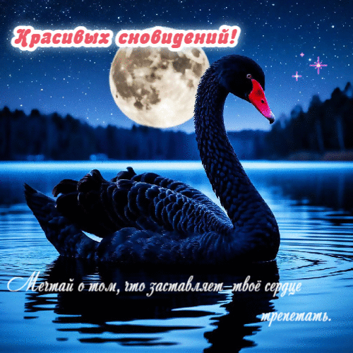 Красивых сновидений..