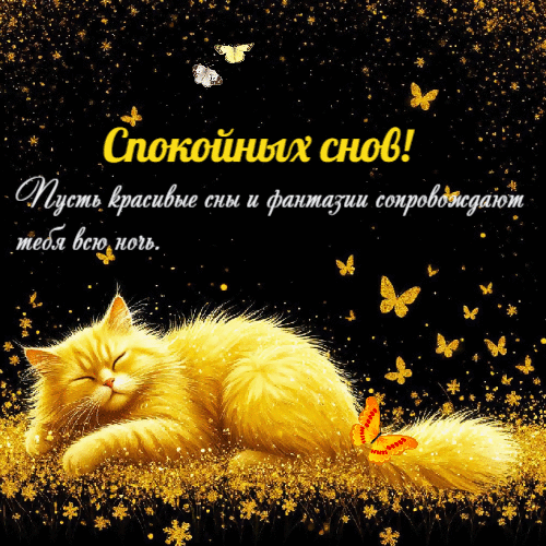 Пусть сны и фантазии  сопровождвют тебя.