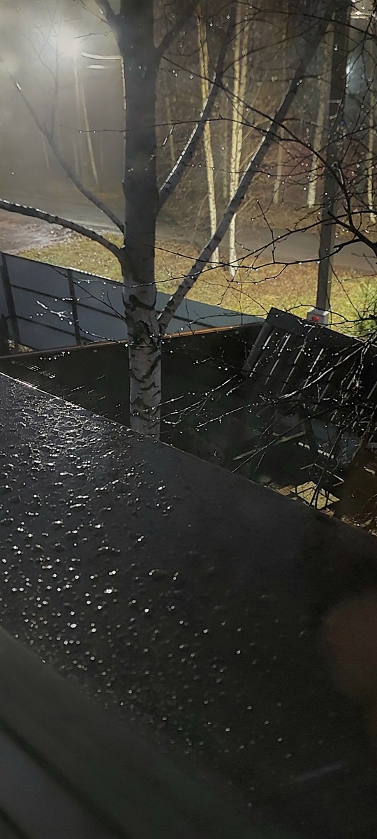 Утро. Понедельник. 1 декабря