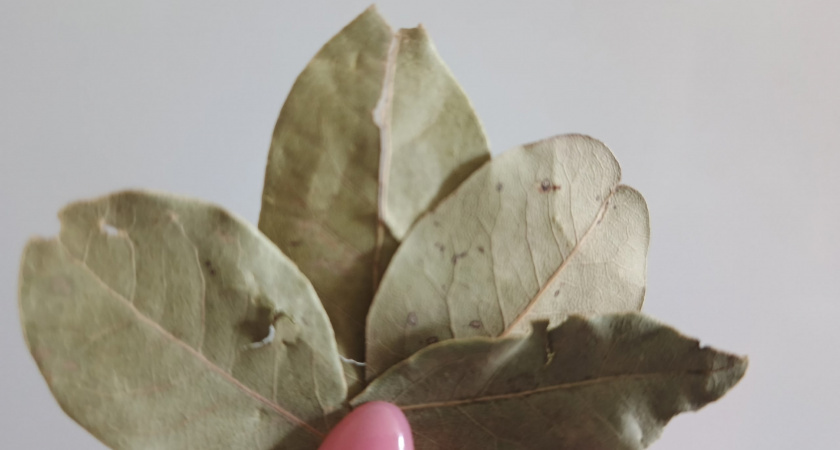    фото bryansk.news