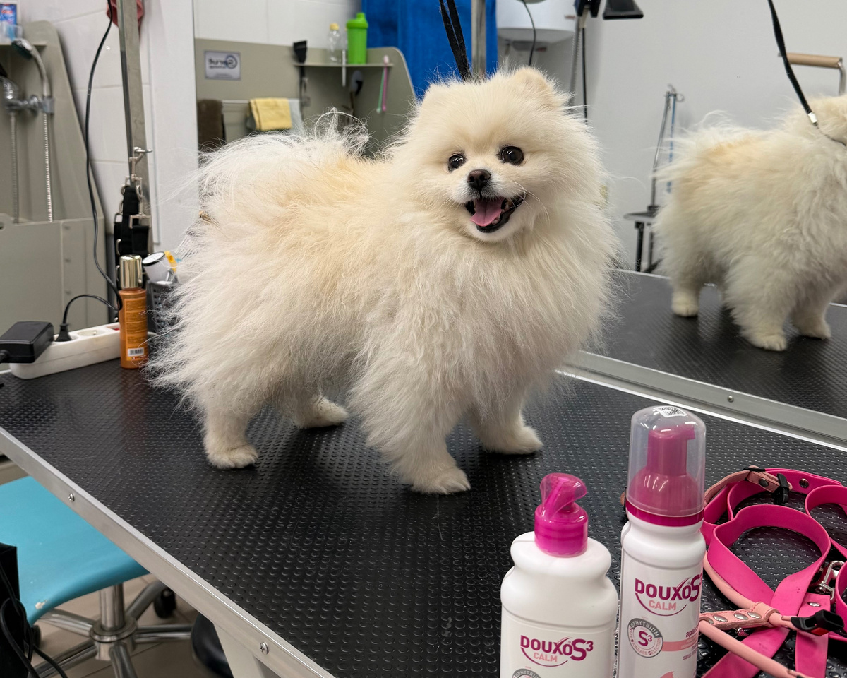 Теперь у Касси очень активная программа по борьбе с этой проблемой...