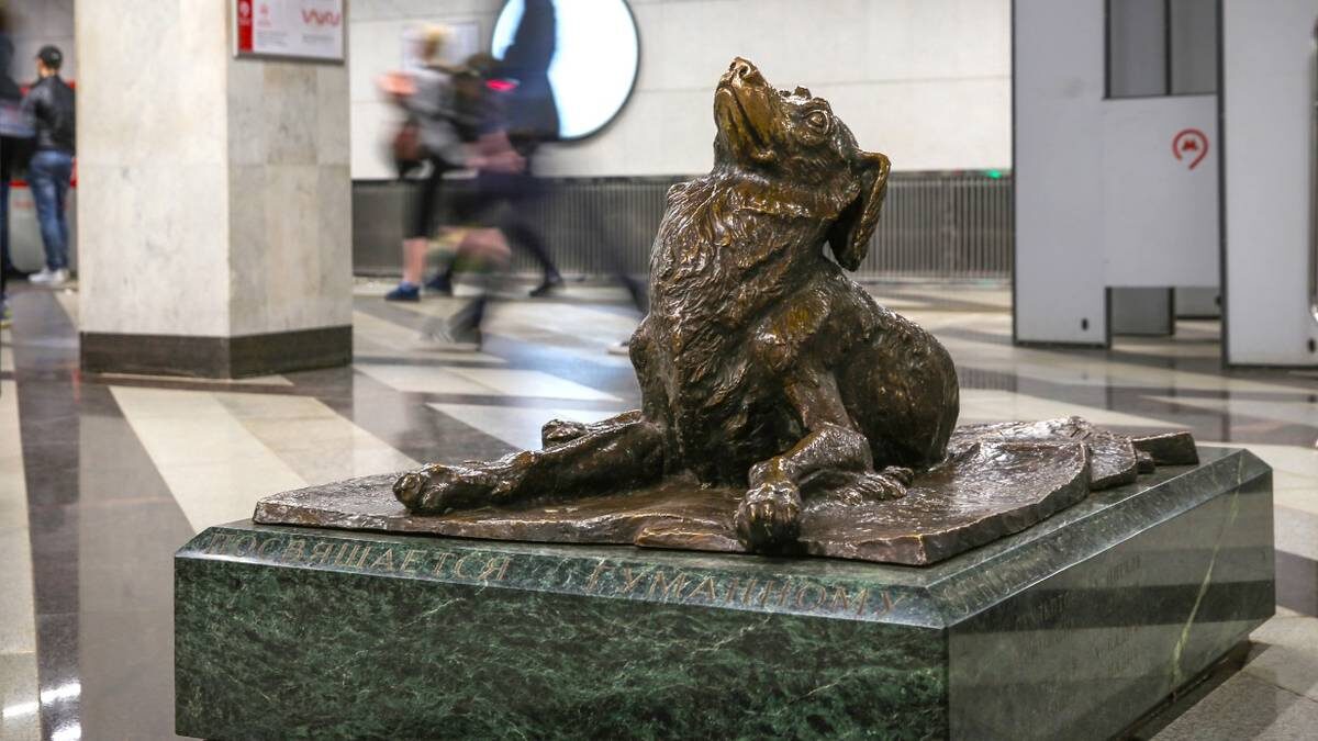    Фото: Владимир Гердо / ТАСС