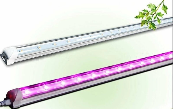 Фитолампа жёлтого и красного свечения.