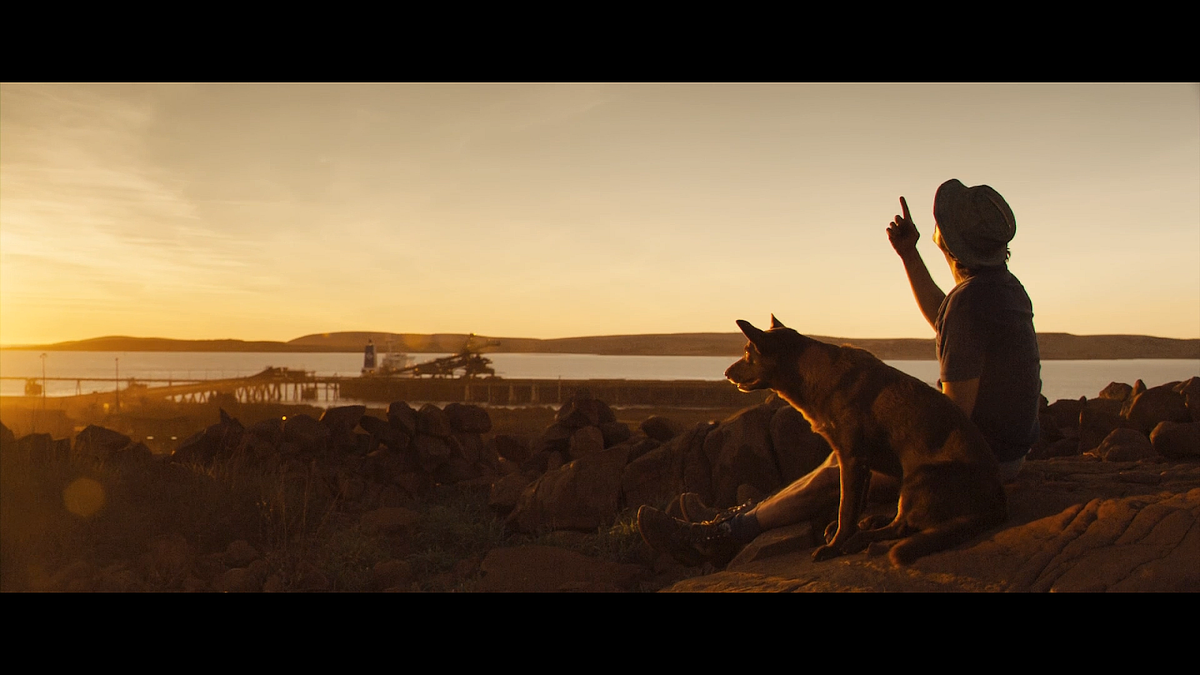 Кадр из фильма Рыжий пес (2011)