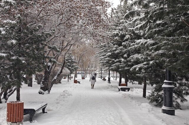    Существует поверье — каким будет 1 декабря, таким и вся зима. Фото: АиФ/ Дмитрий Еланаков