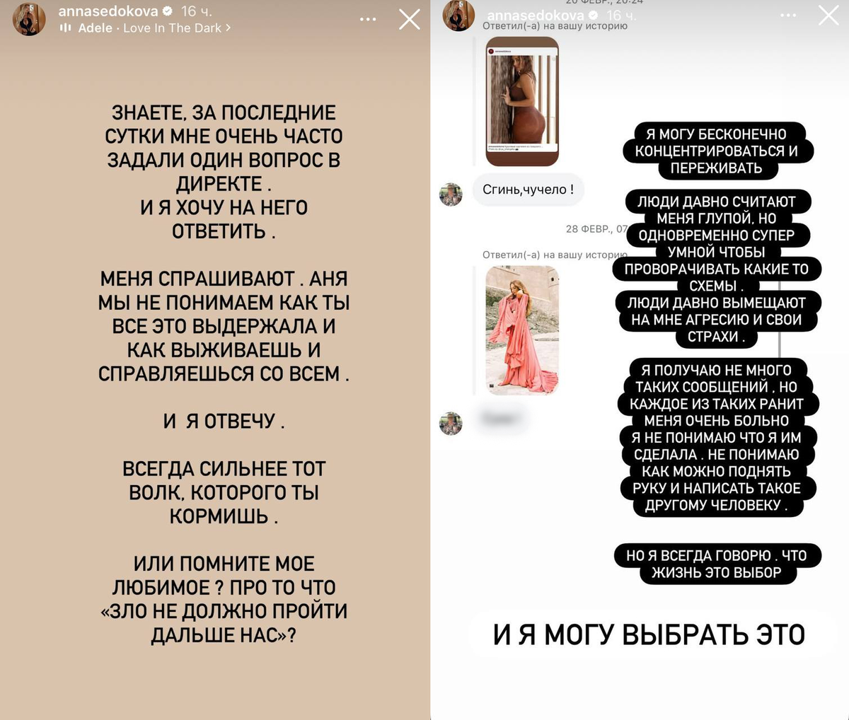 Публикации Анны Седоковой в заперещенной соцсети