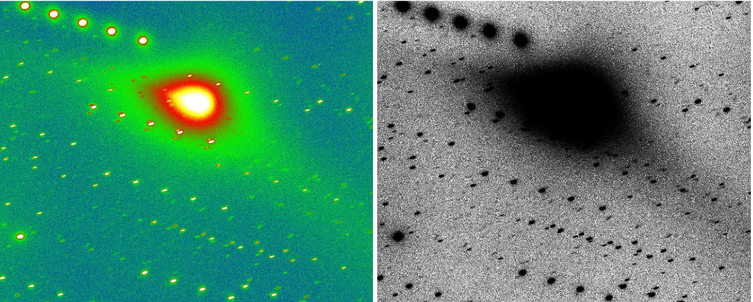 C/2025 R2 SWAN. 10 ноября 2025 г. Фото из статьи "Comet C/2025 R2 (SWAN) displays an anti-tail"