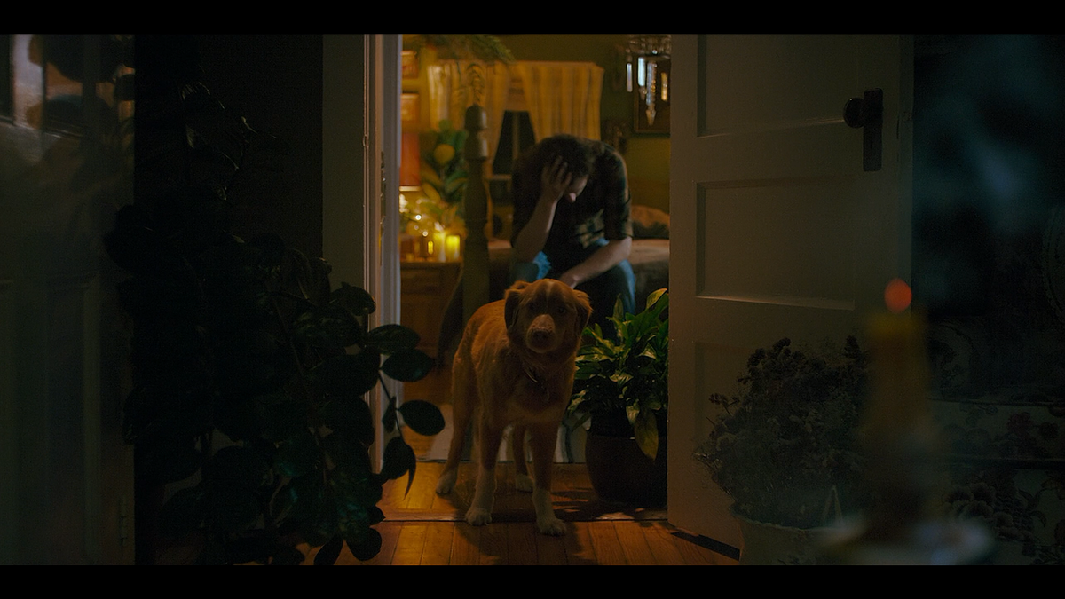 Кадр из фильма Глазами пса (2025)