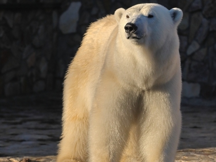     Фото: Соцсети Ленинградского зоопарка.