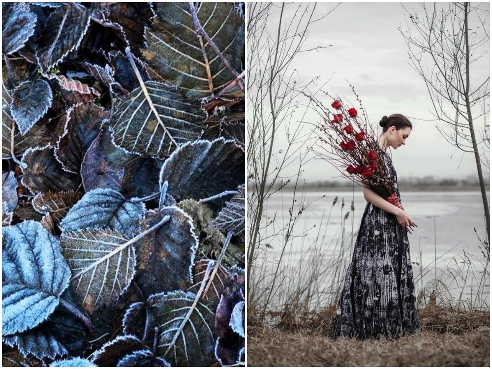 Иллюстрации из открытых источников. Коллажи авторские. Ноябрь 2025.