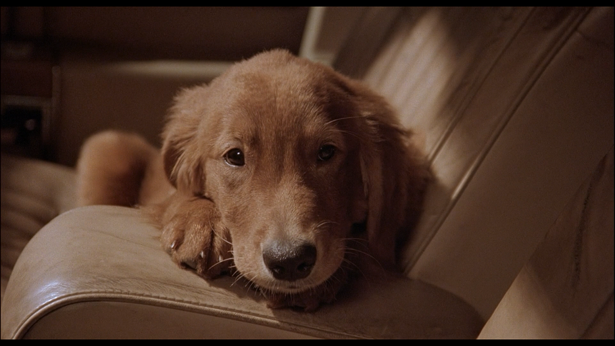 Кадр из фильма Флюк (1995)