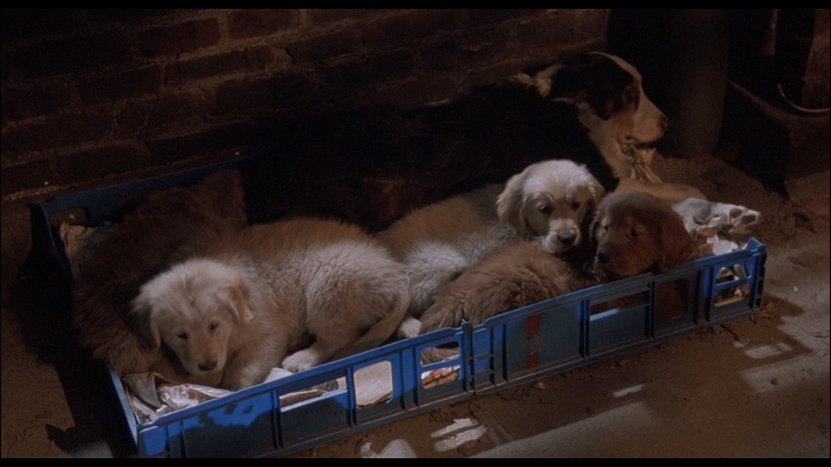 Кадр из фильма Флюк (1995)