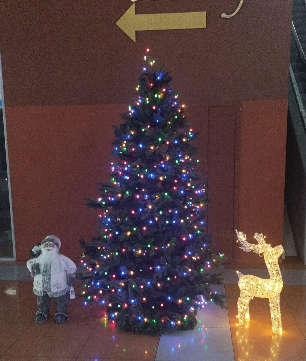 Еженедельный астропрогноз 1 – 7 декабря 2025 года