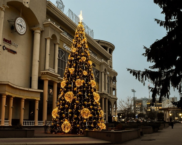     В первый день зимы курян ожидает до 5 градусов мороза
