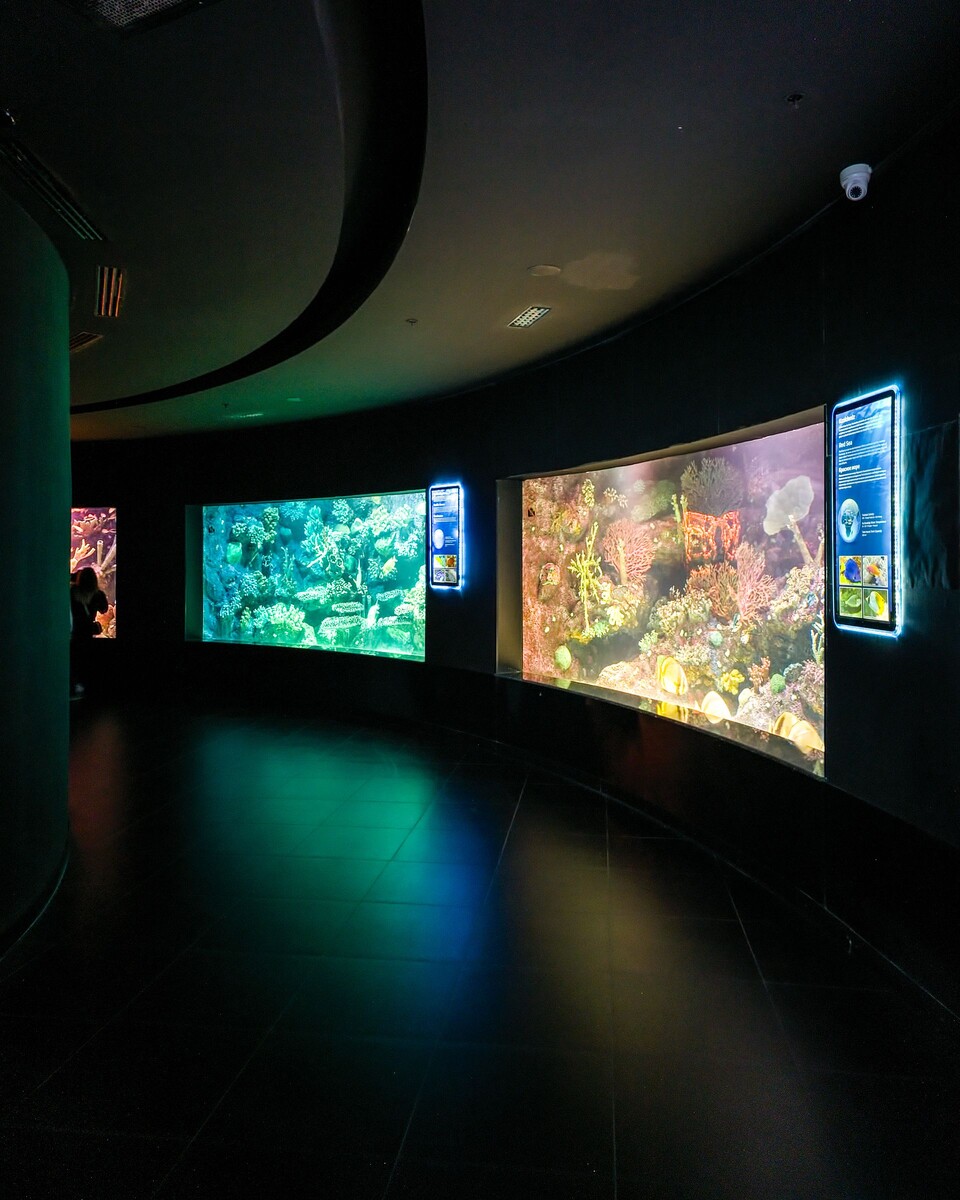 Купили билеты и оказались внутри...