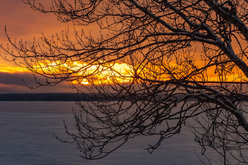    Илья Тимин поймал момент, как Карелия переодевалась с осени на зимуИлья Тимин