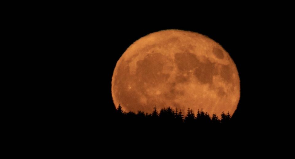    IMAGO/Rene Traut / www.globallookpress.com